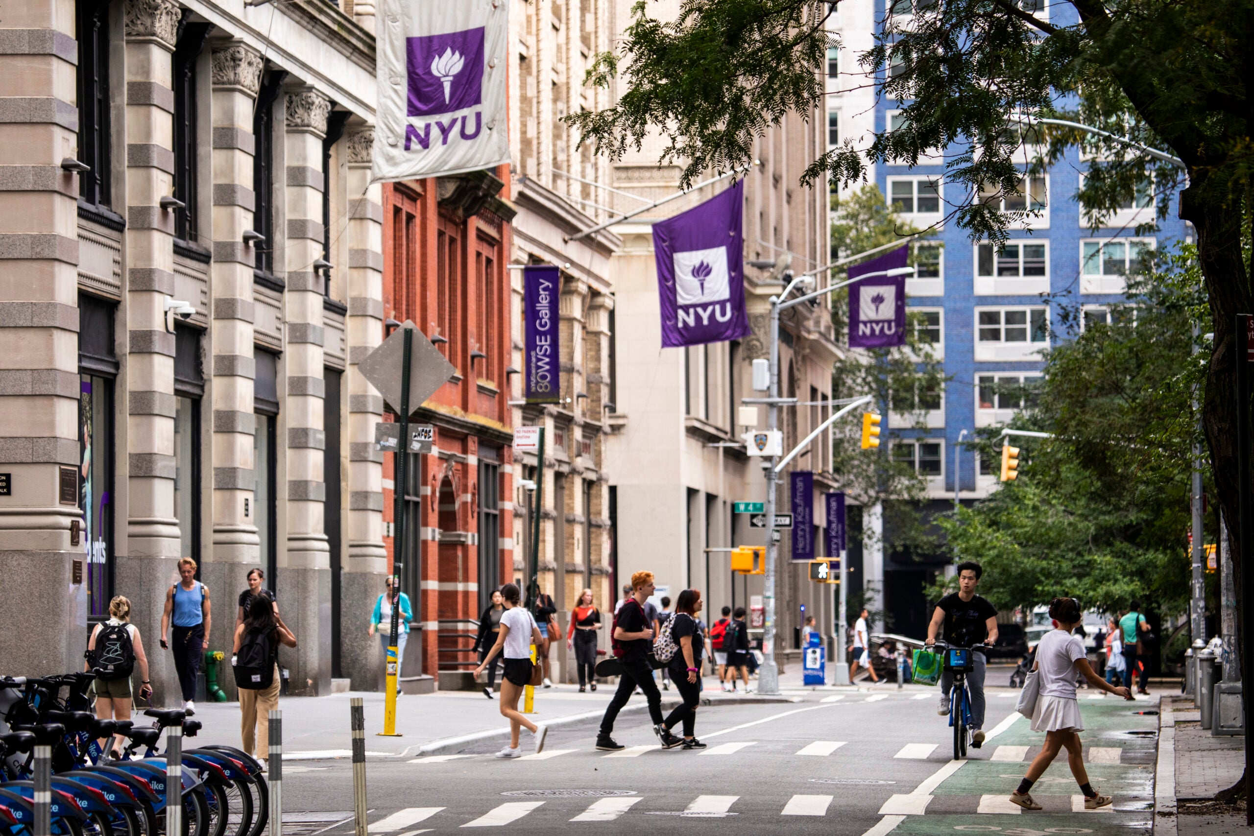 New York University banner