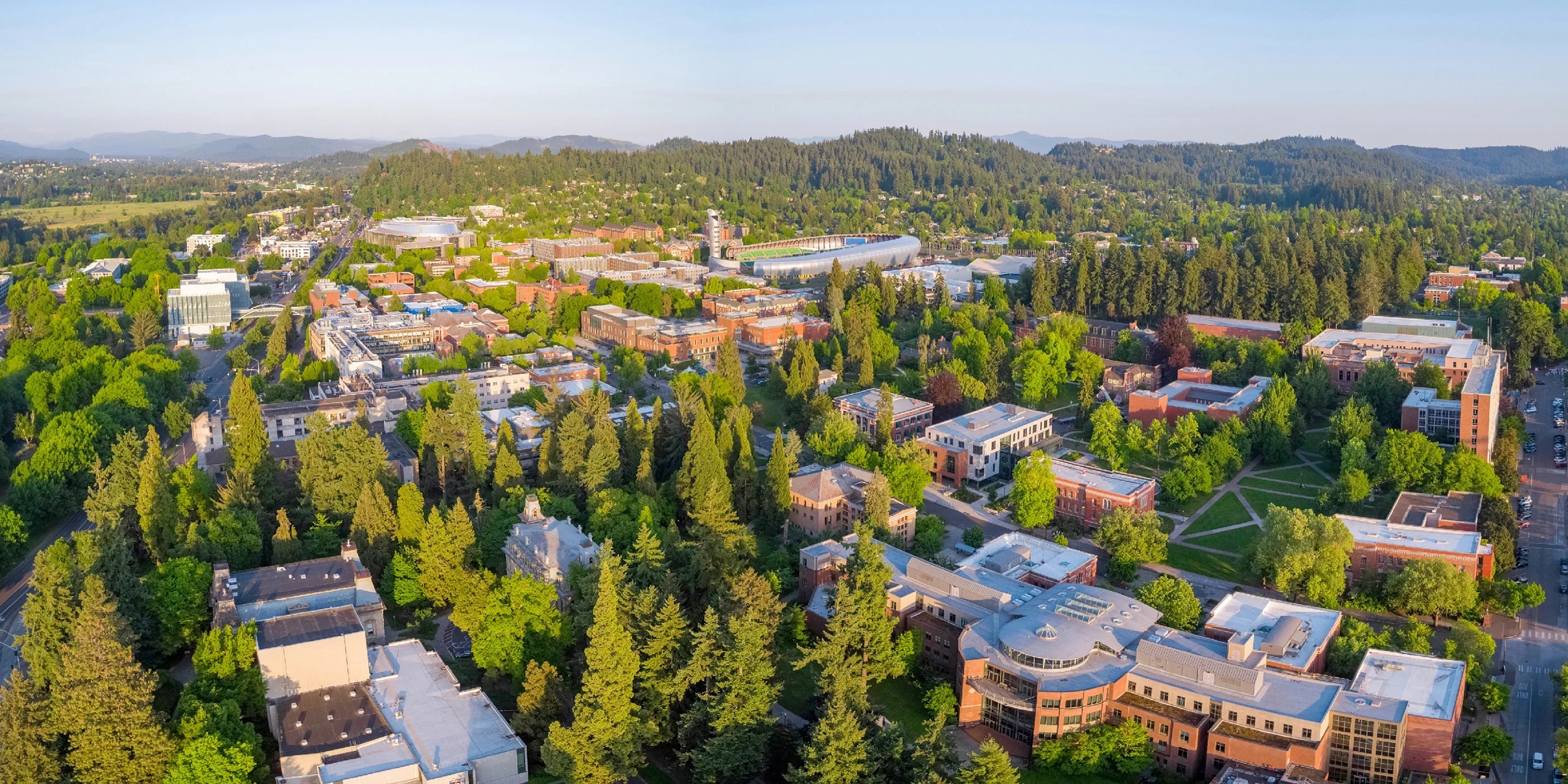 University of Oregon banner