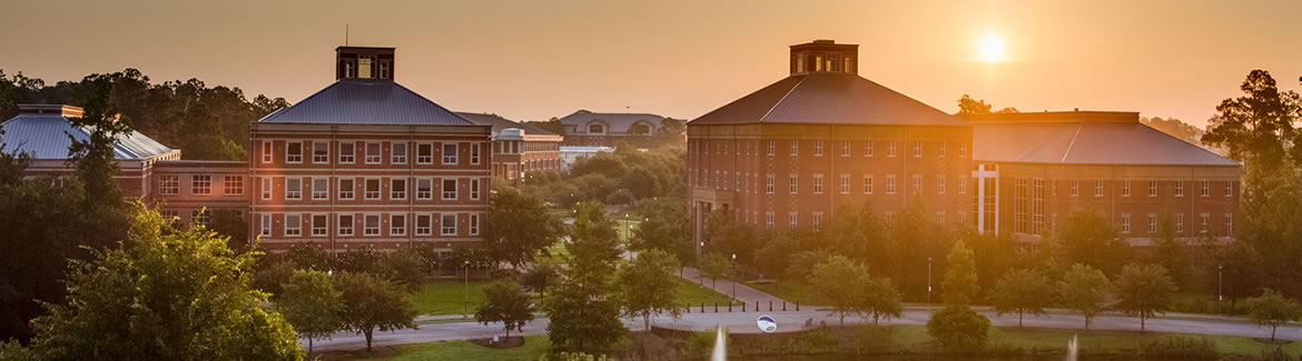 Georgia Southern University banner
