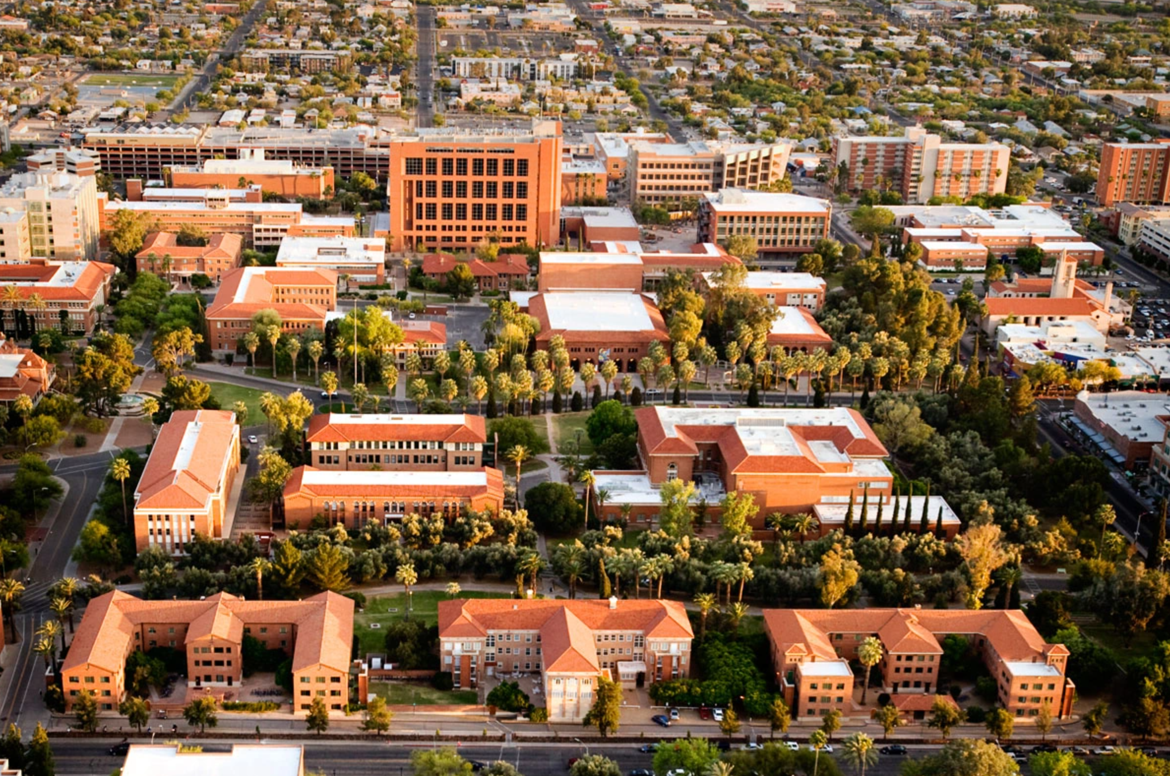University of Arizona banner