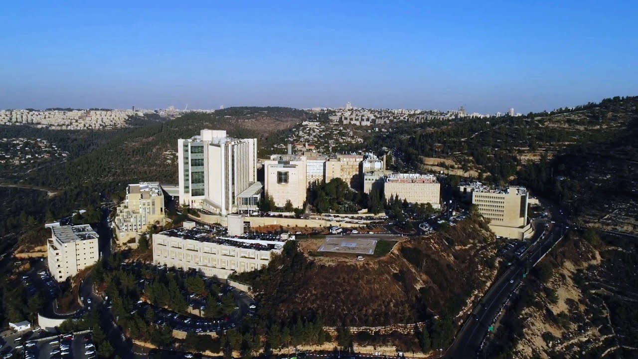 Hebrew University of Jerusalem banner
