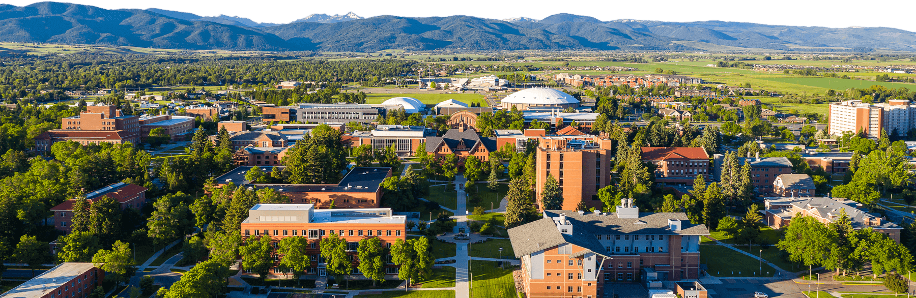 Montana State University banner