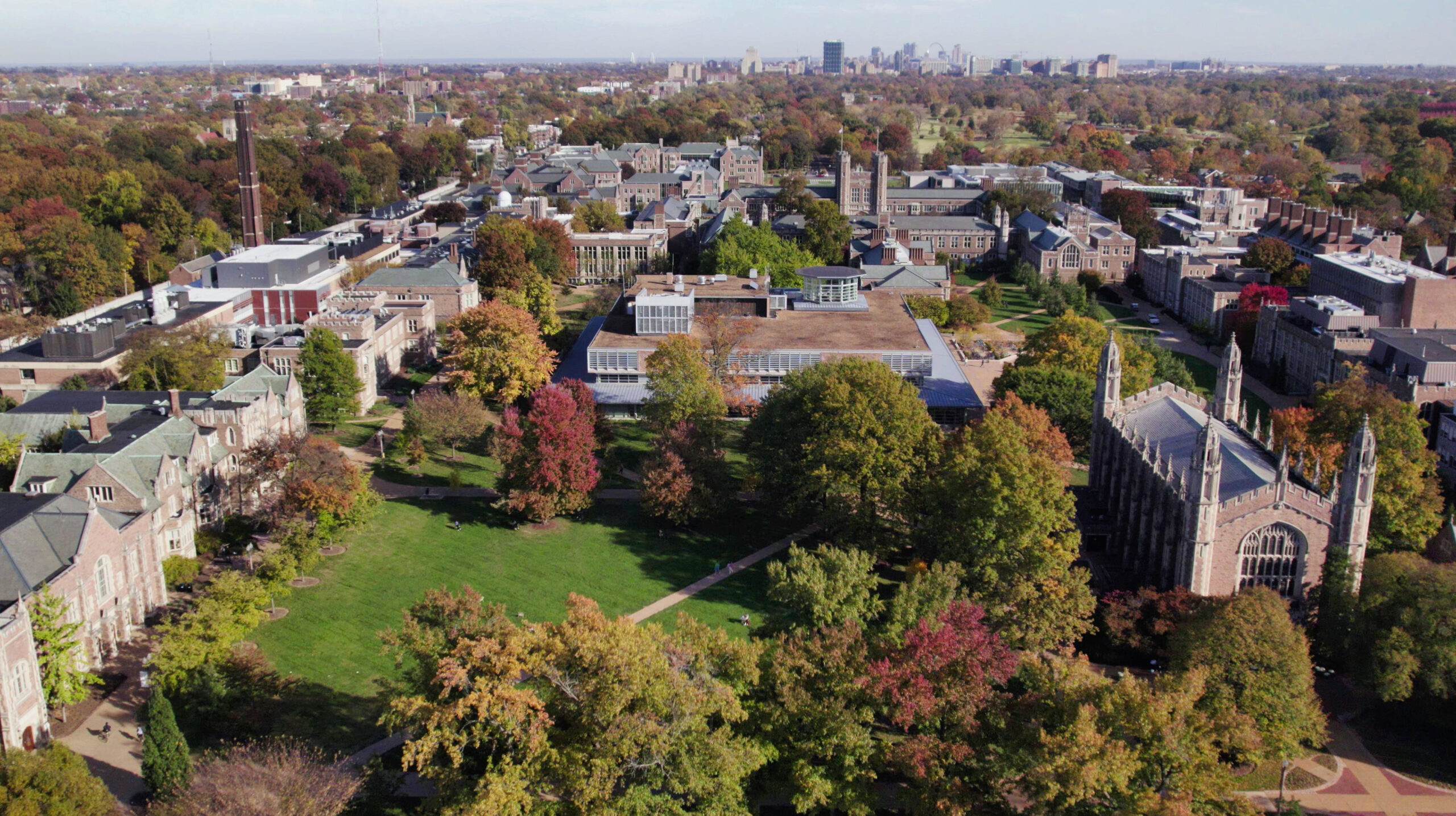 Washington University in St. Louis banner